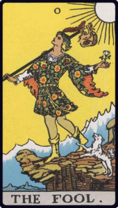 card-19