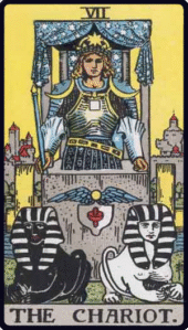 card-7