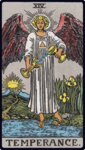 card-8