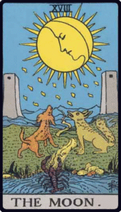 card-22